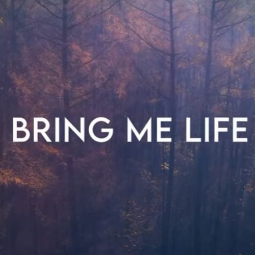 Bring Me Life